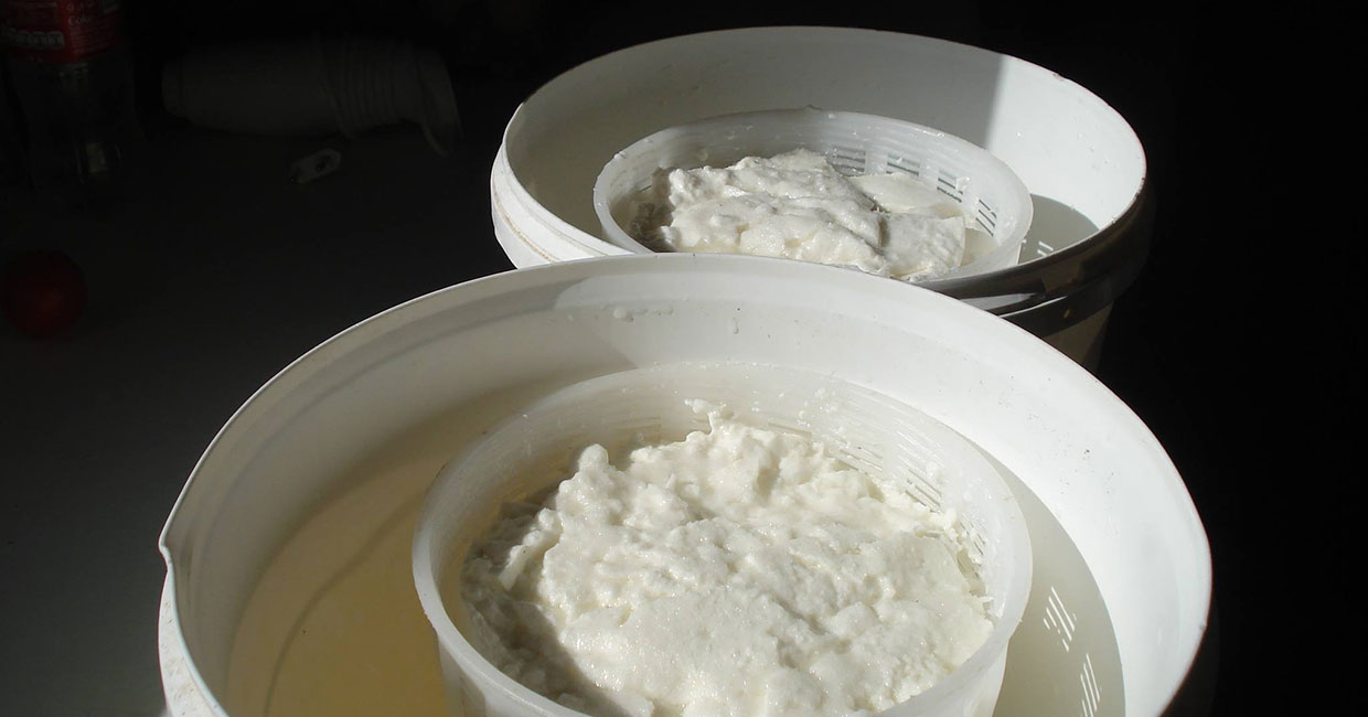 Cheese making demonstration in Sifnos