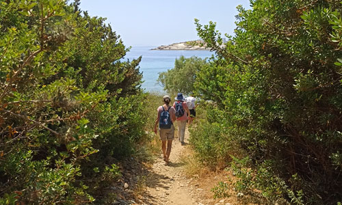 Various activities in Sifnos