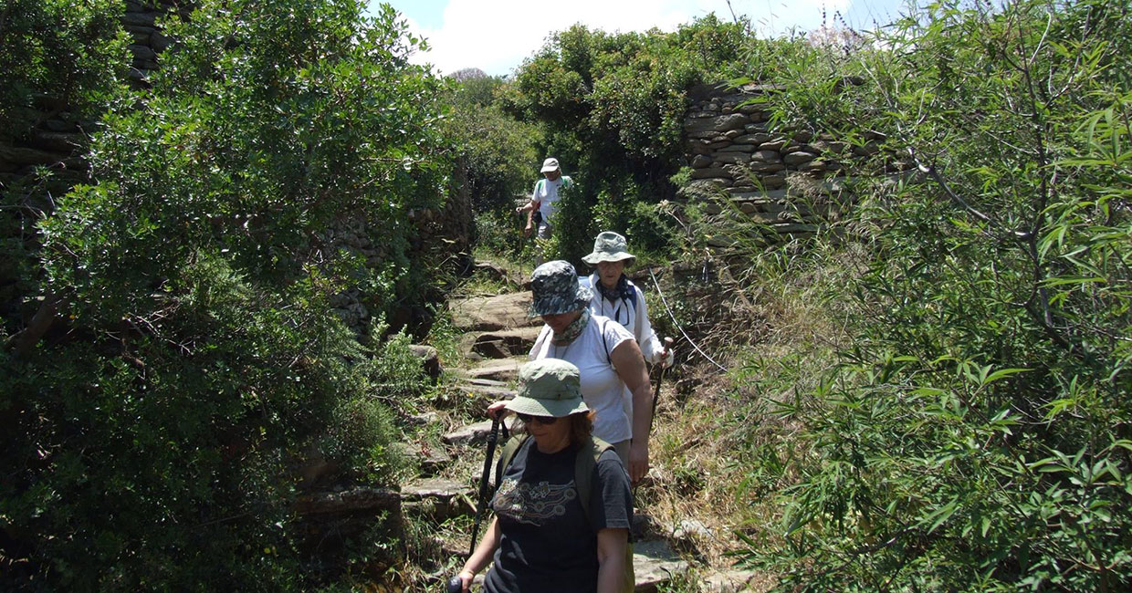 Trekking tours with groups in Sifnos